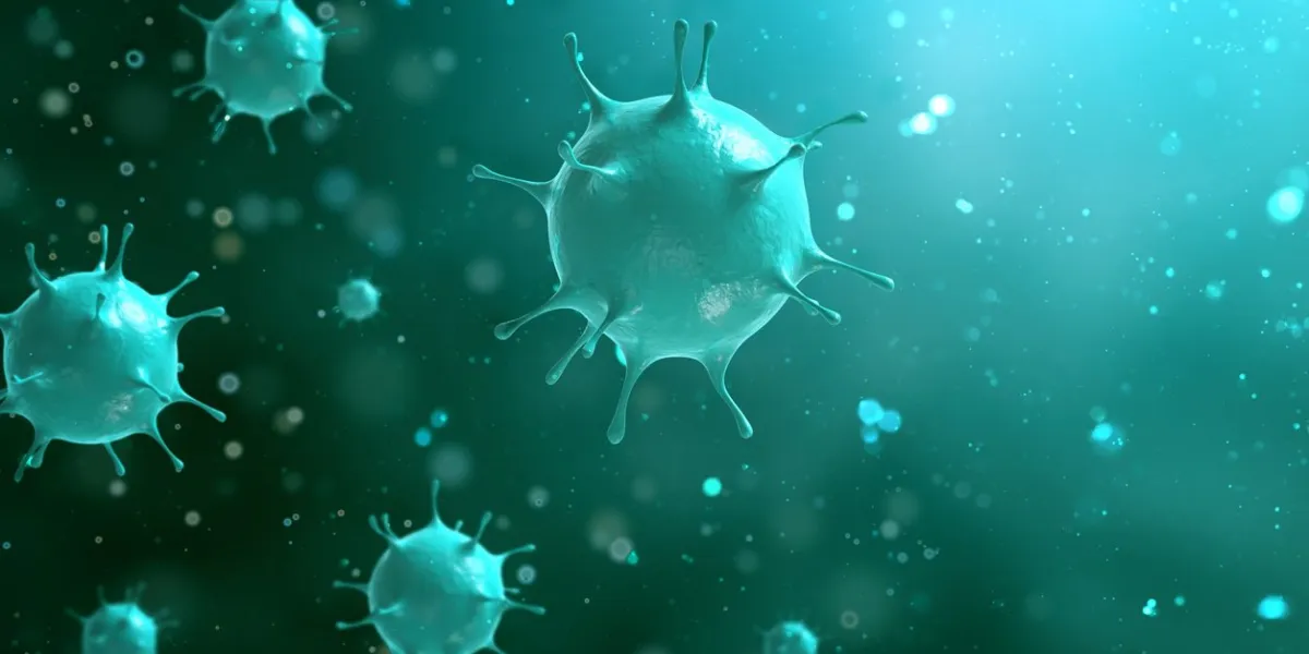 3d render bacteria virus,3d render microbe bacteria virus or germs microorganism cells under microscope 3d render bacteria virus,3d render microbe bacteria virus or germs microorganism cells under microscope