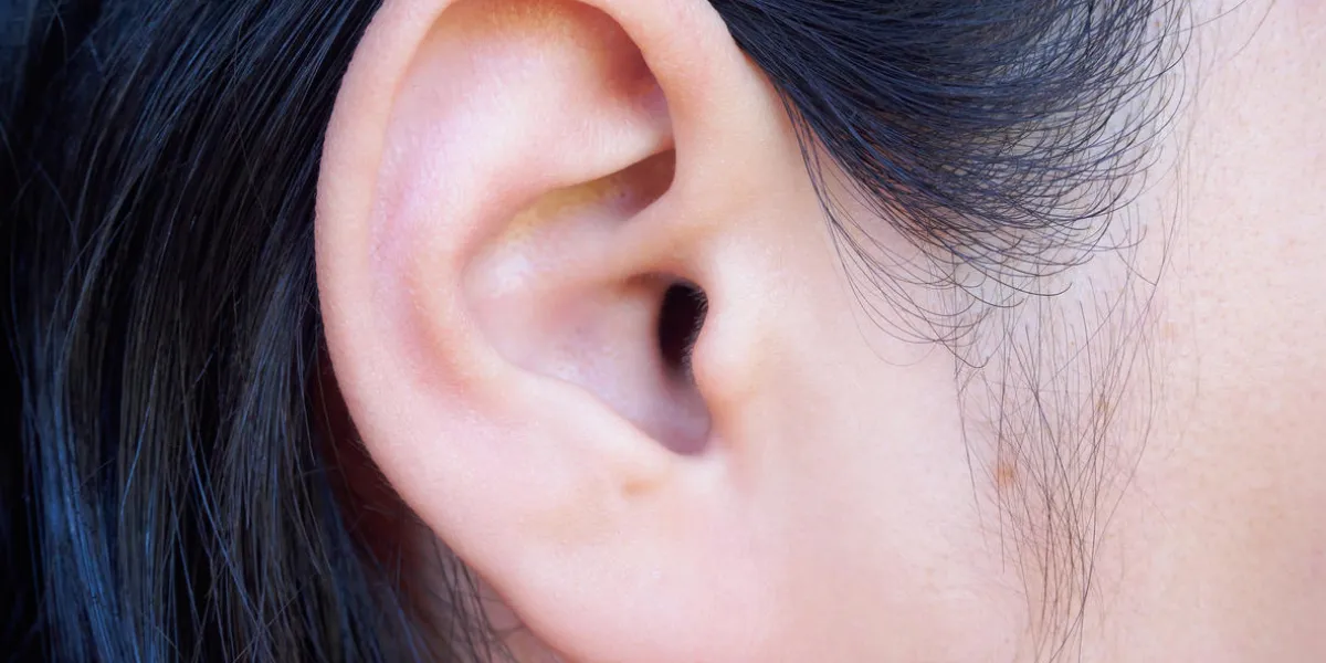 human ear closeup human ear closeup
