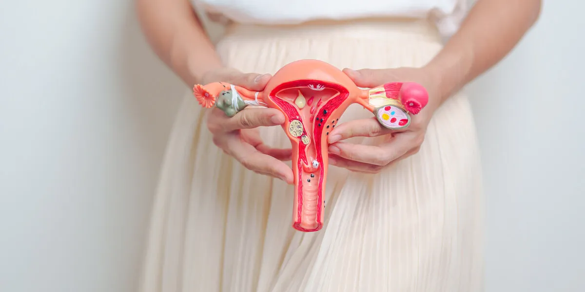 woman holding uterus and ovaries model ovarian and cervical cancer, endometriosis, hysterectomy, uterine fibroids, reproductive, menstruation, stomach, pregnancy and sexual transmitted disease woman holding uterus and ovaries model ovarian and cervical cancer, endometriosis, hysterectomy, uterine fibroids, reproductive, menstruation, stomach, pregnancy and sexual transmitted disease