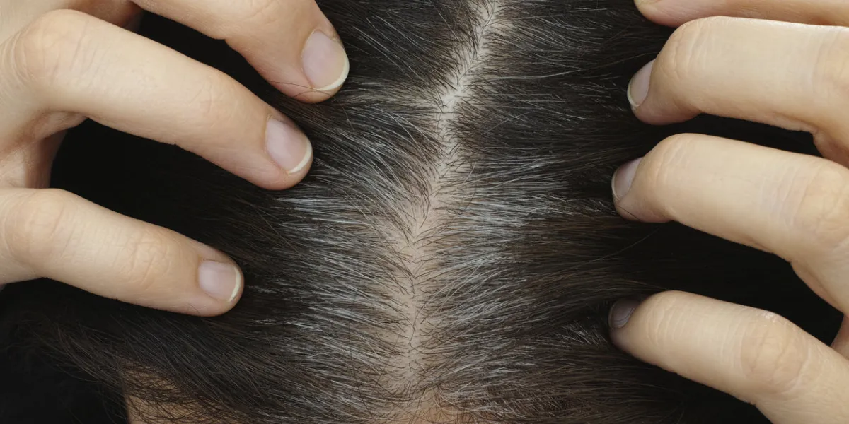 going gray young woman shows her gray hair roots