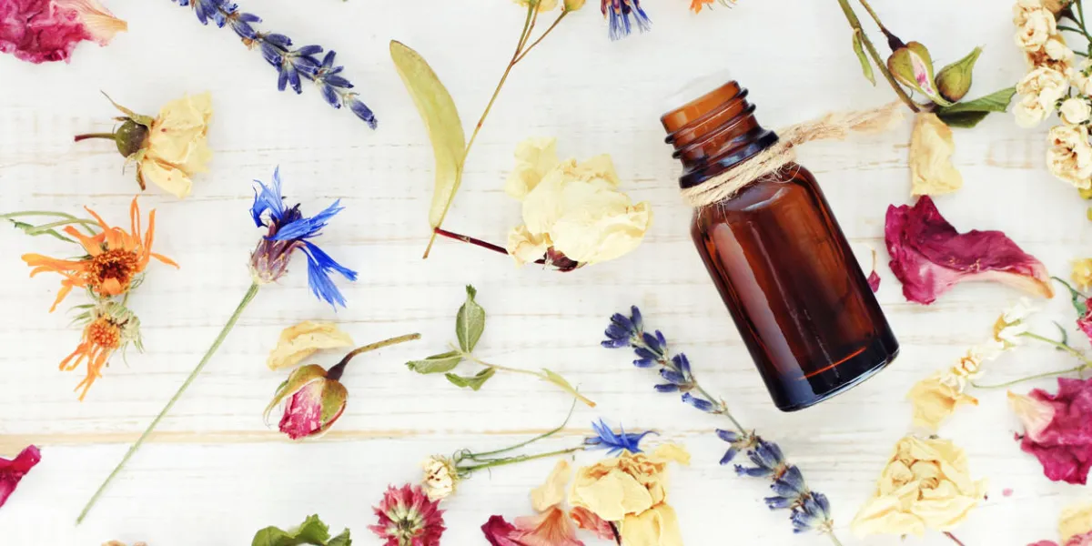 herbes médicinales aromatiques huile essentielle collecte, dispersé table en bois blanc