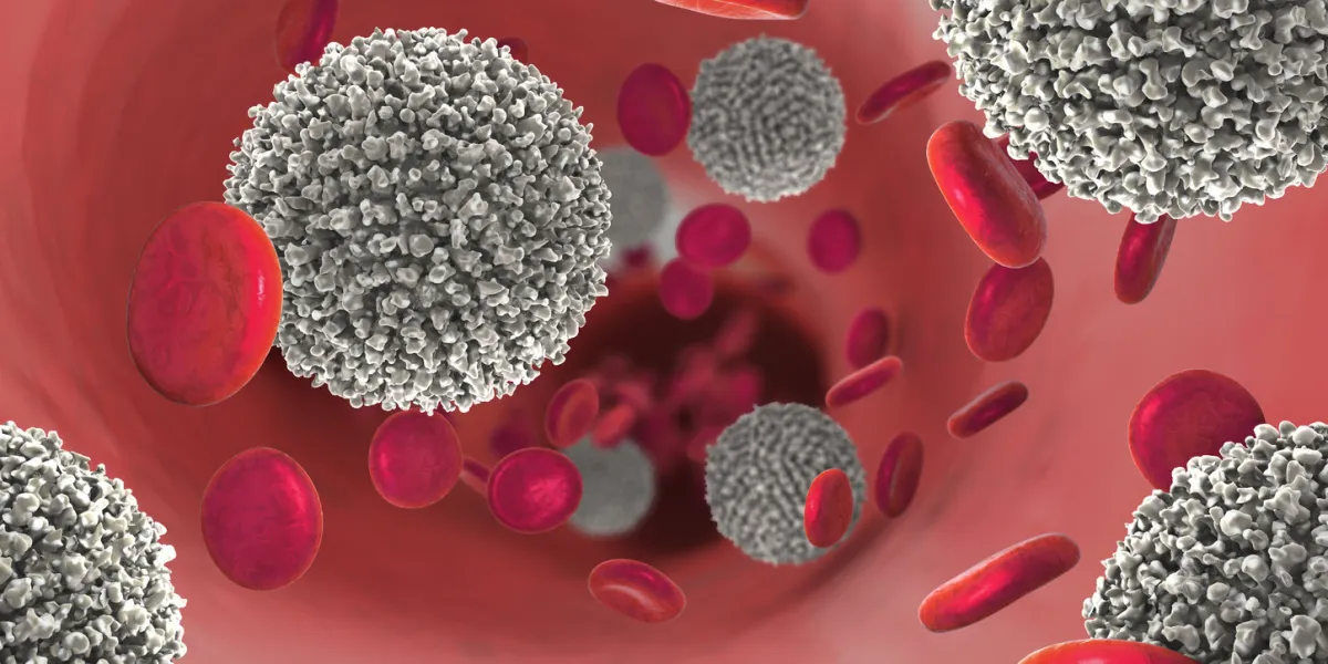 3d illustration of the strong increase of non-functional white blood cells called leukemia cells leading to blood cancer disease 3d illustration of the strong increase of non-functional white blood cells called leukemia cells leading to blood cancer disease
