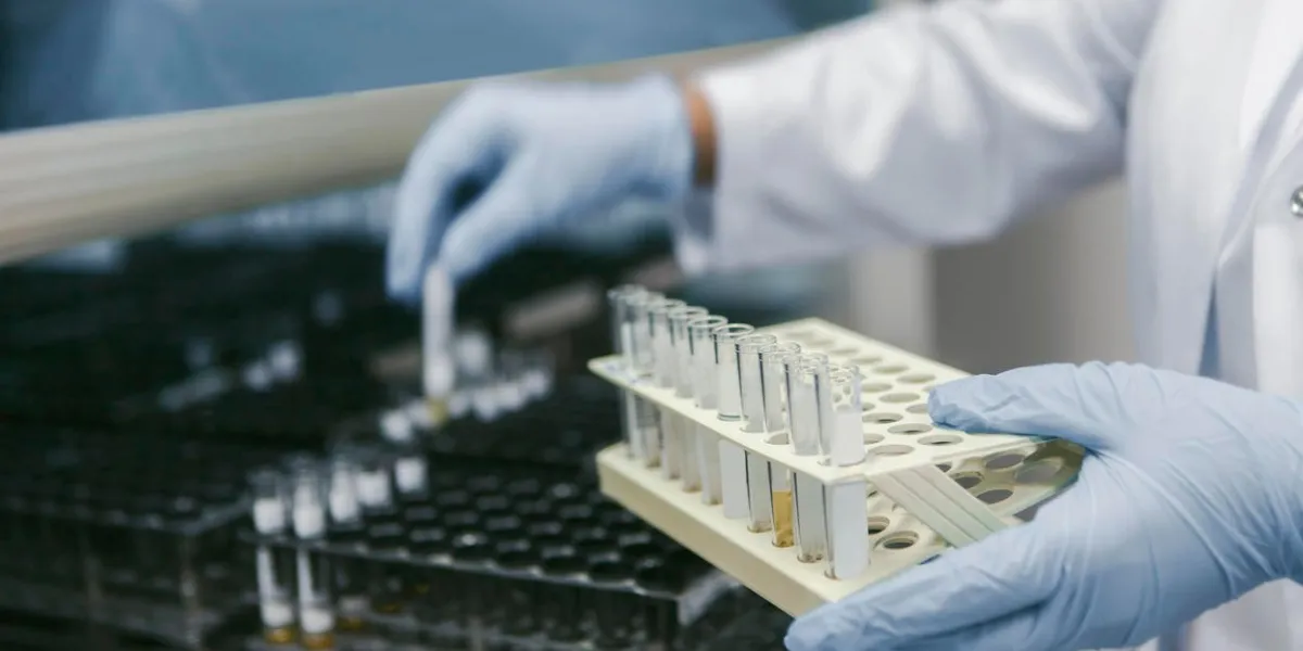 expérience de laboratoire