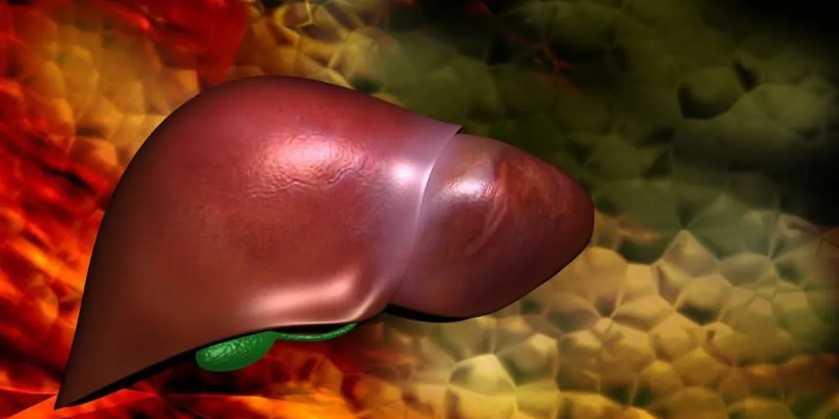 liver liver
