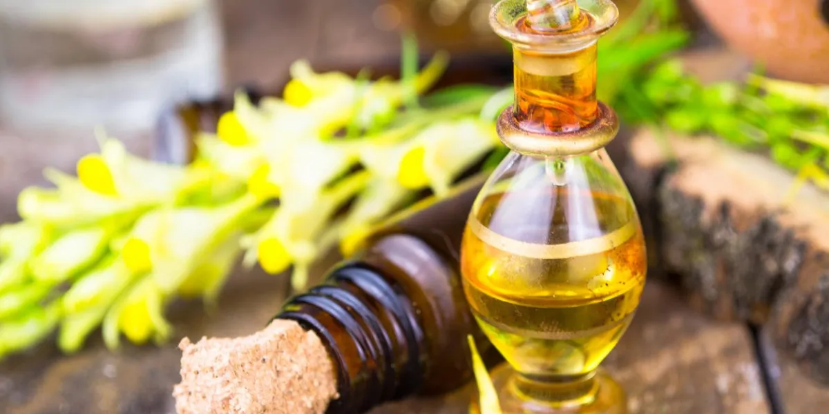 essential oils and medical flowers herbs