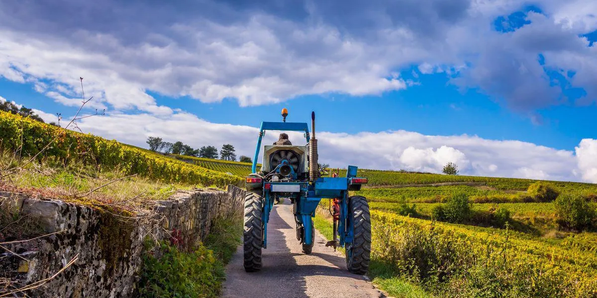 tracteur dans les vignes tracteur dans les vignes