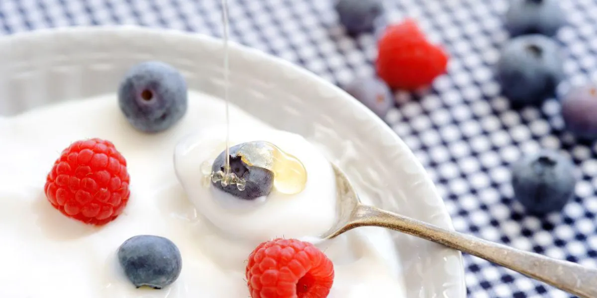 yogourt nature garni de myrtille et de framboise