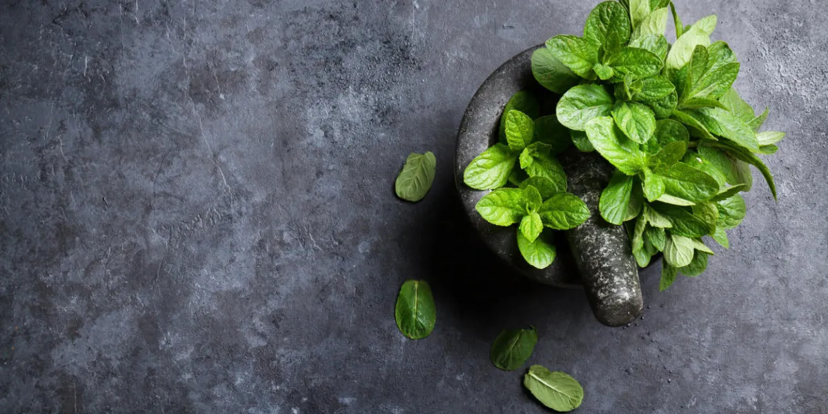feuilles de menthe fraîche dans le mortier sur la table en pierre vue de dessus avec espace copie