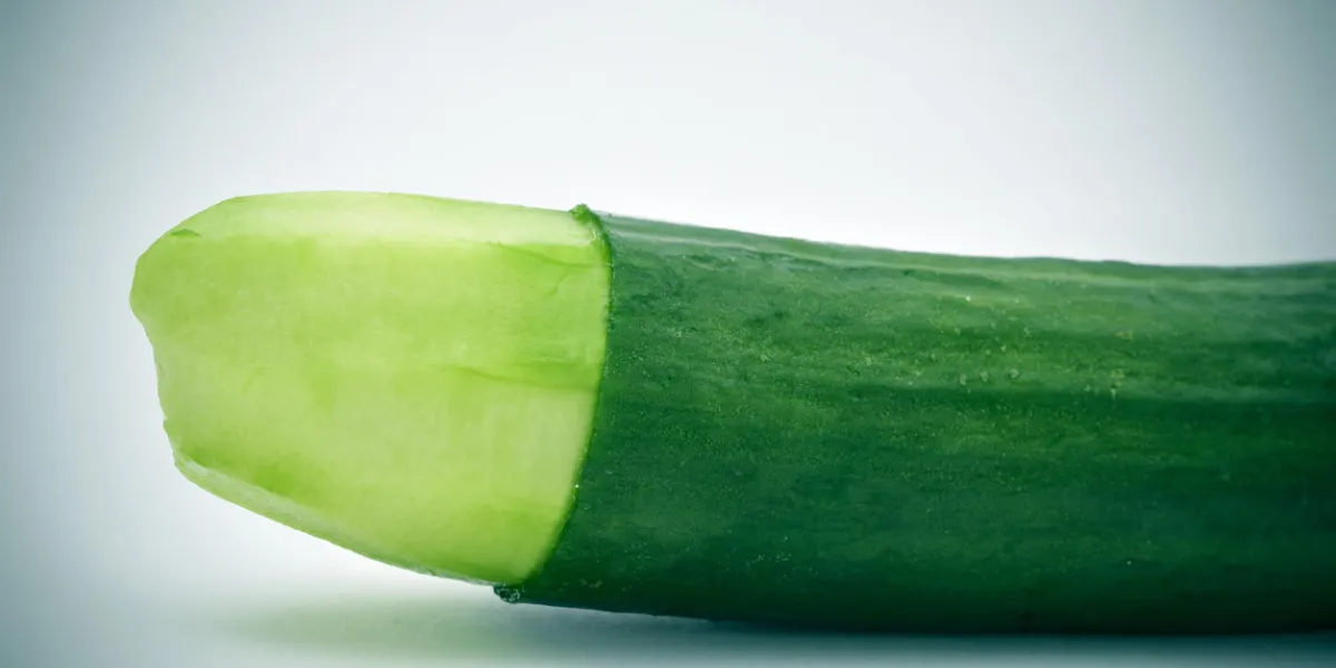 closeup of a cucumber with the skin of its tip removed depicting a circumcised male member