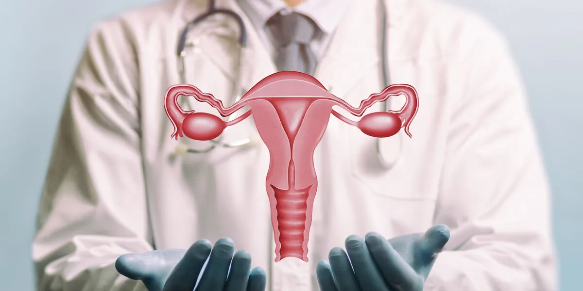 image of a doctor in a white coat and model of the reproductive system of women above his hands concept of a healthy female reproductive system image of a doctor in a white coat and model of the reproductive system of women above his hands concept of a healthy female reproductive system