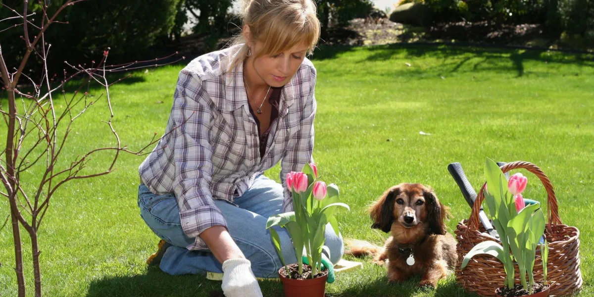 jolie blonde femme appréciant son jardin au printemps jolie blonde femme appréciant son jardin au printemps