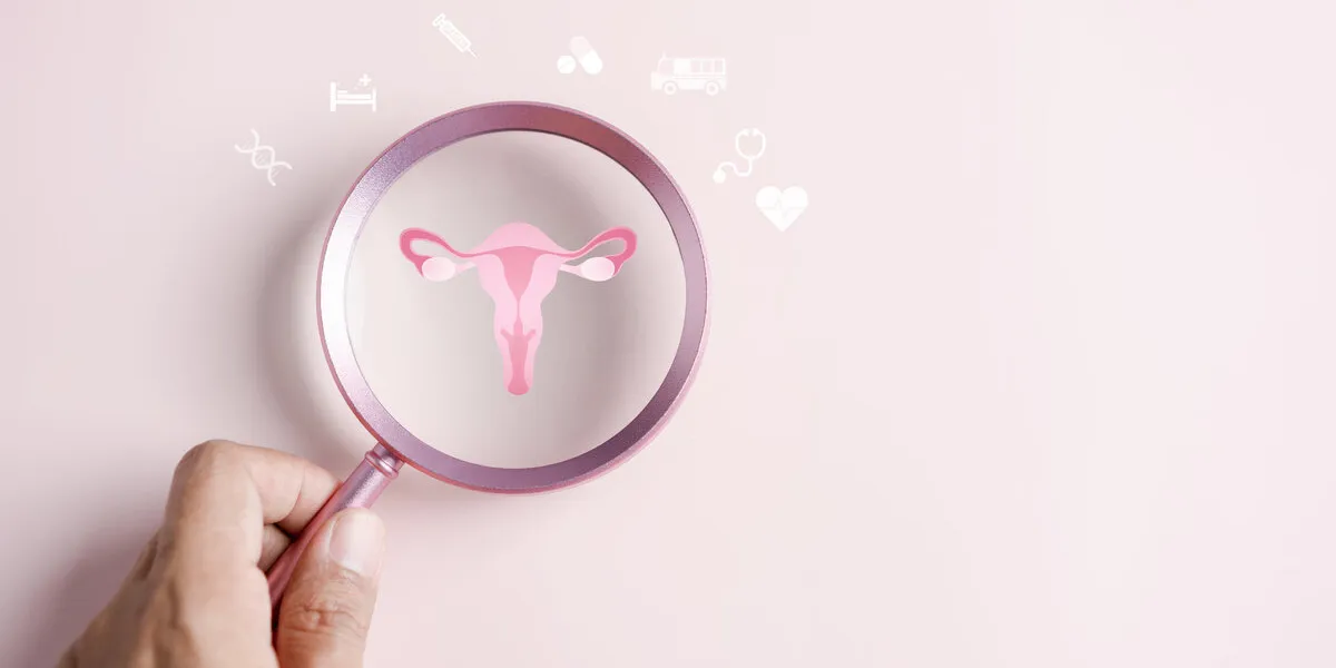 checkup uterus reproductive system , women's health, pcos, ovary cancer treatment and examine, healthy feminine concept