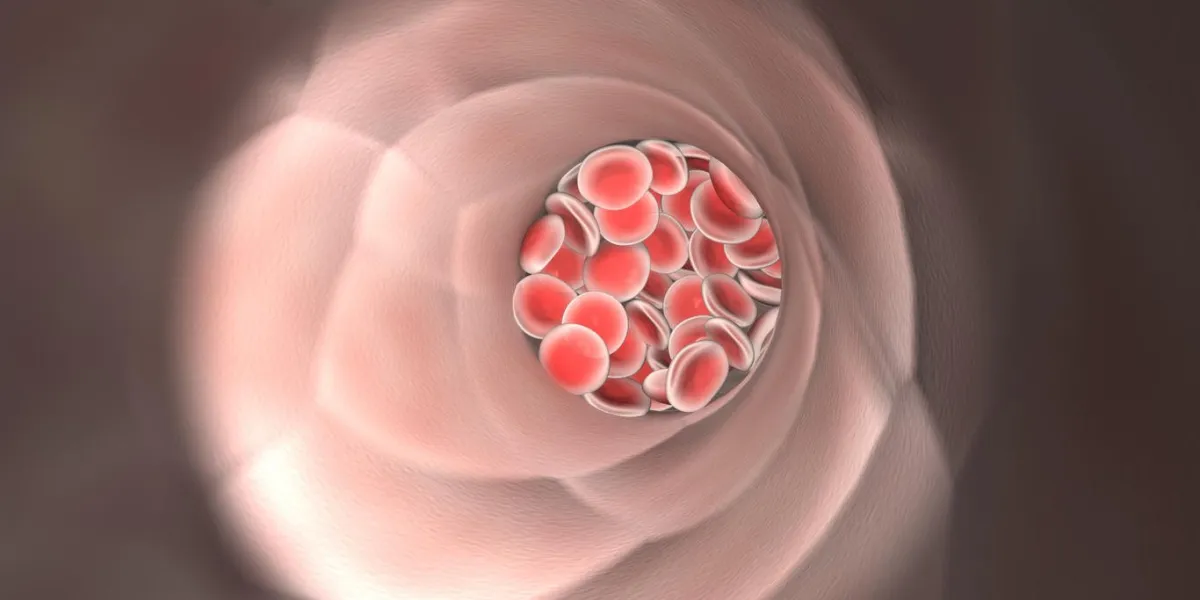 endoscopic view of flowing red blood cells in a vein endoscopic view of flowing red blood cells in a vein