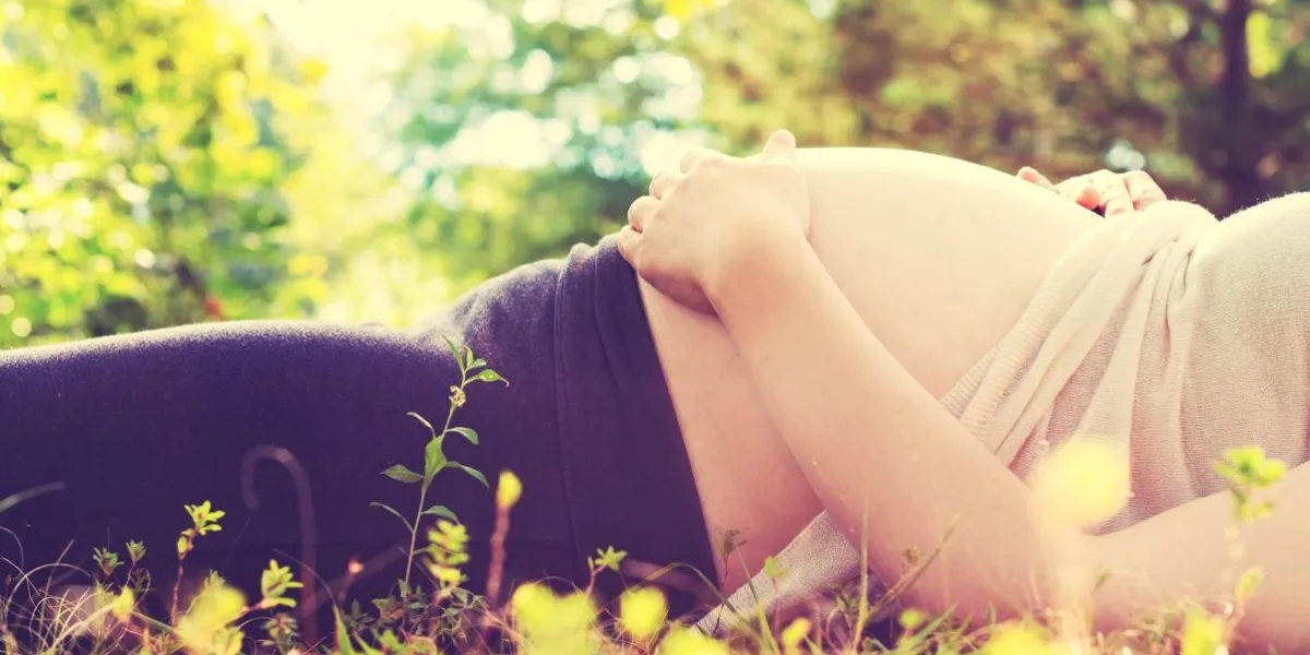 pregnant woman lying in a meadow on a sunny day pregnant woman lying in a meadow on a sunny day