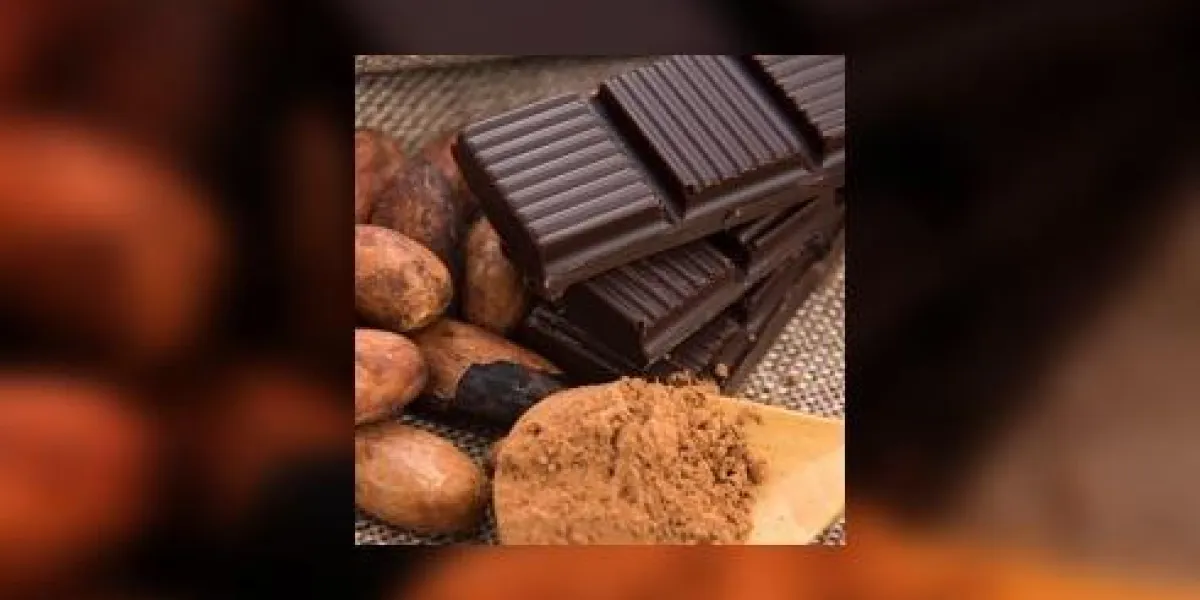 fèves de cacao avec du chocolat au lait fèves de cacao avec du chocolat au lait