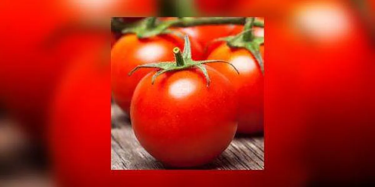 gros plan, frais, mûr, cerise, tomates, bois