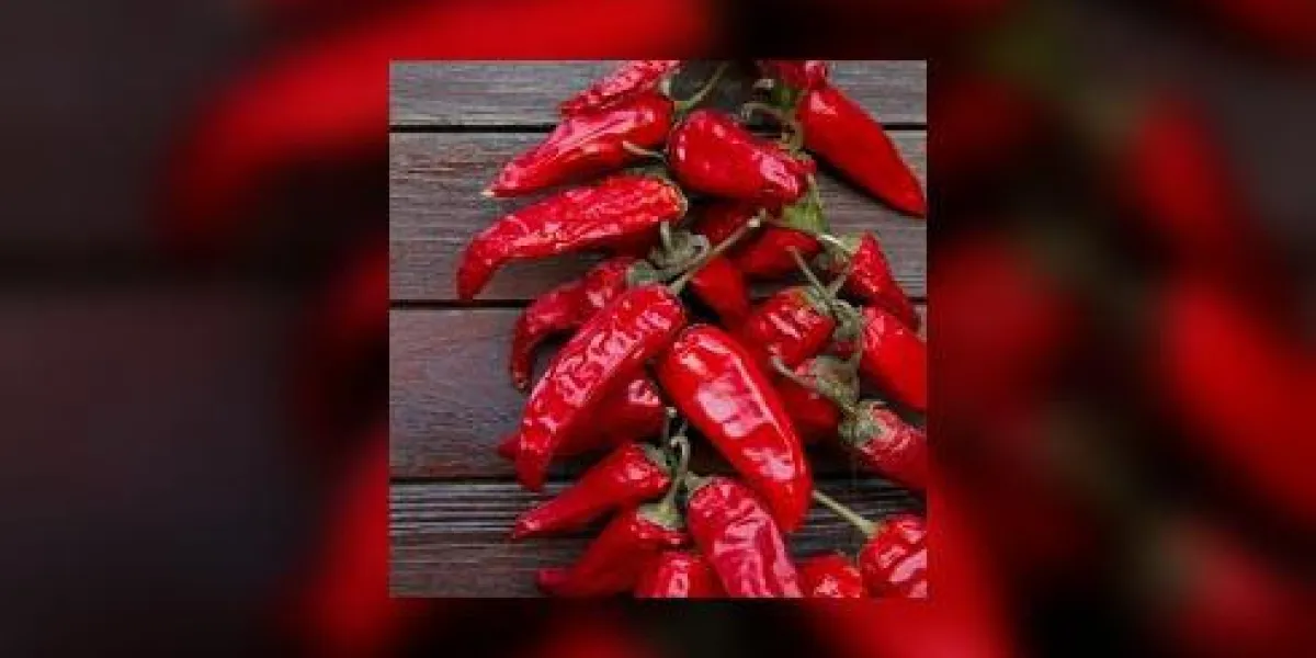 piments espelette suspendus à une porte en bois