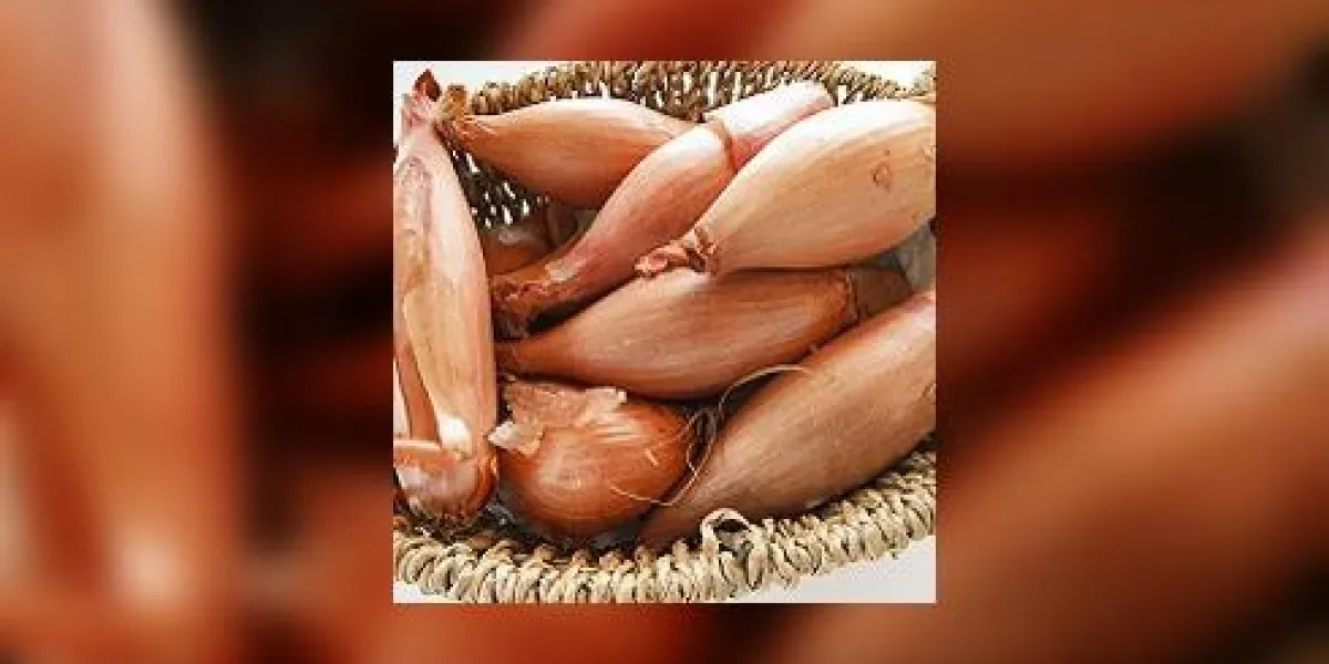 corbeille d'échalottes corbeille d'échalottes