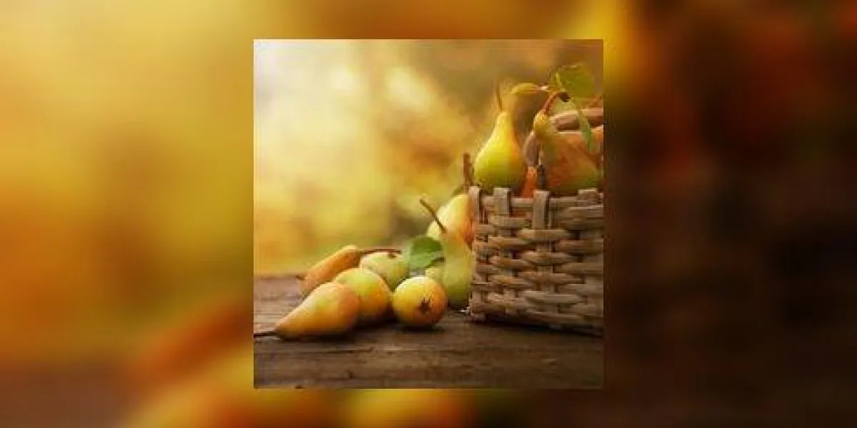 automne nature concept automne poires sur bois dîner de thanksgiving