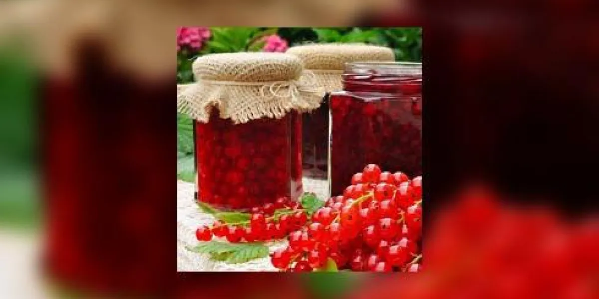 pots de confiture de groseille faite maison avec des fruits frais pots de confiture de groseille faite maison avec des fruits frais