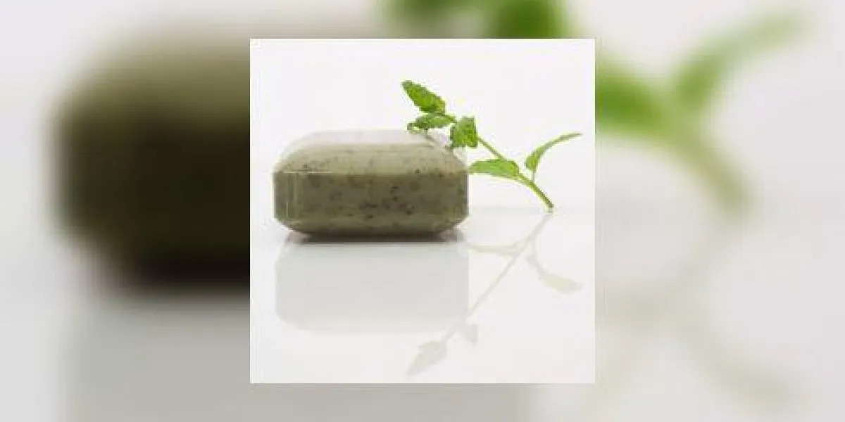 brin de menthe à côté de la barre de savon à la menthe poivrée brin de menthe à côté de la barre de savon à la menthe poivrée
