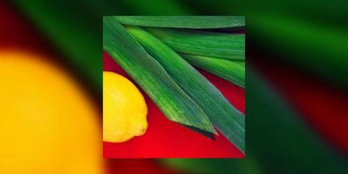 nature morte lumineuse avec du citron