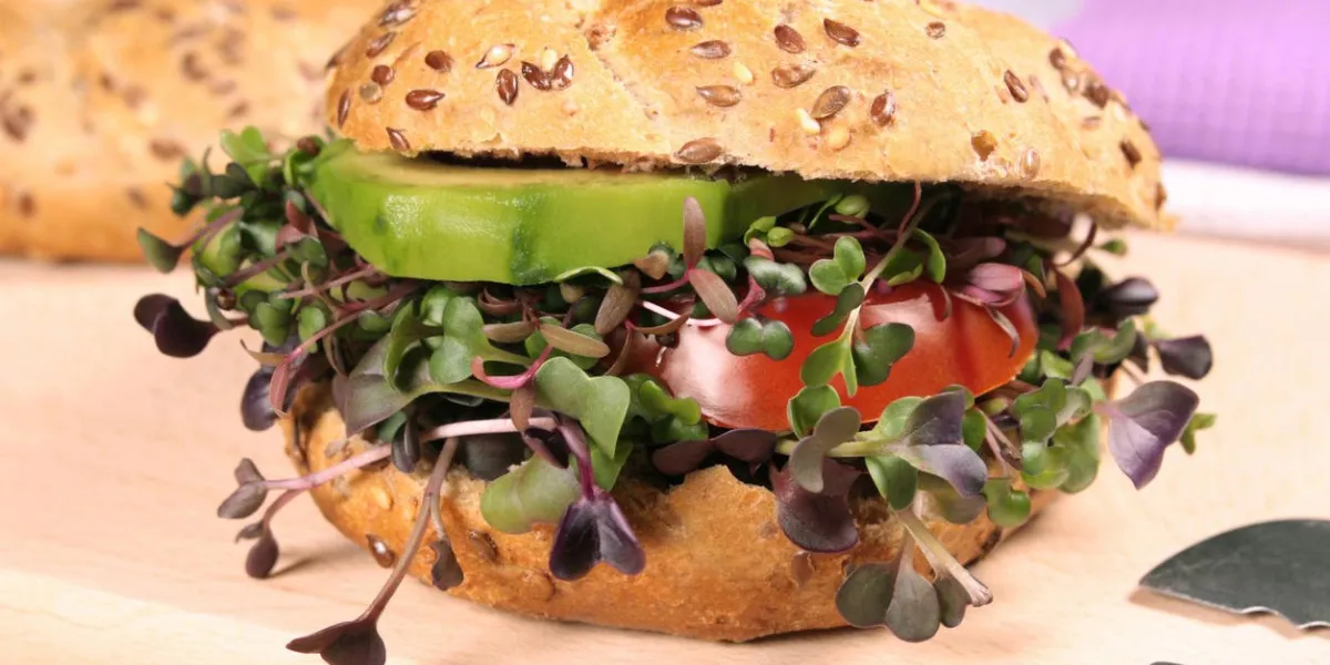vegetarian burger with fresh microgreens vegetarian burger with fresh microgreens