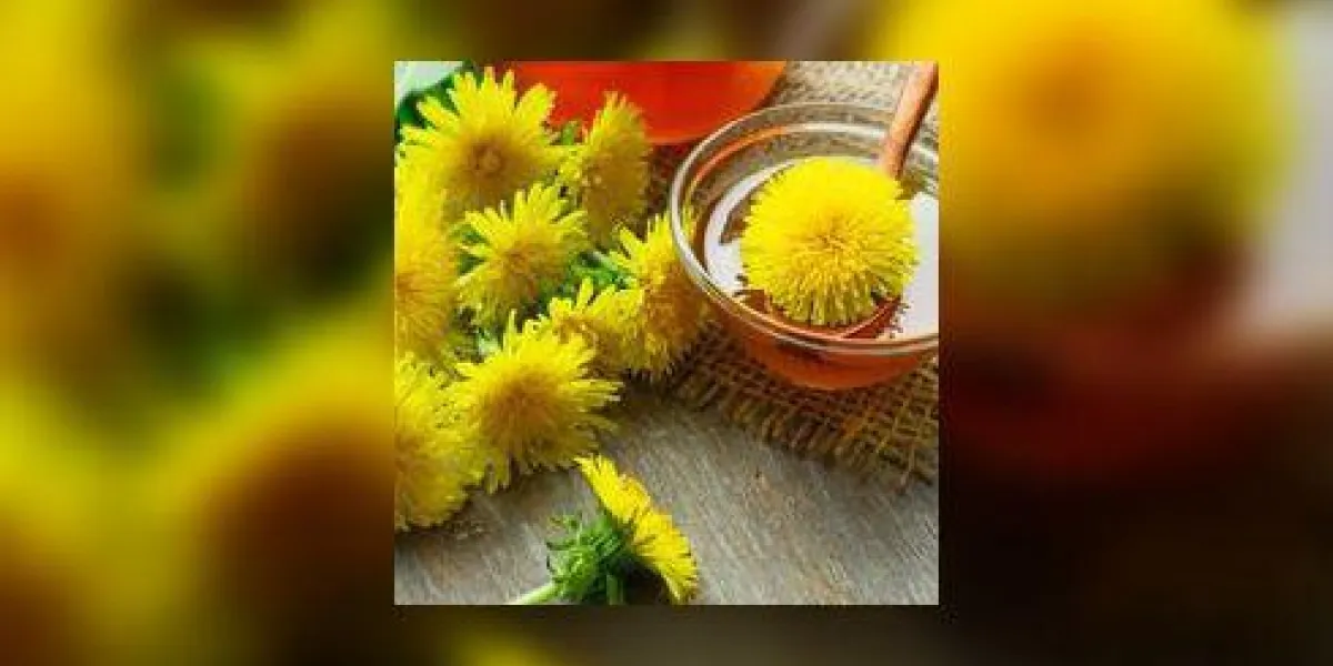 confiture de pissenlit