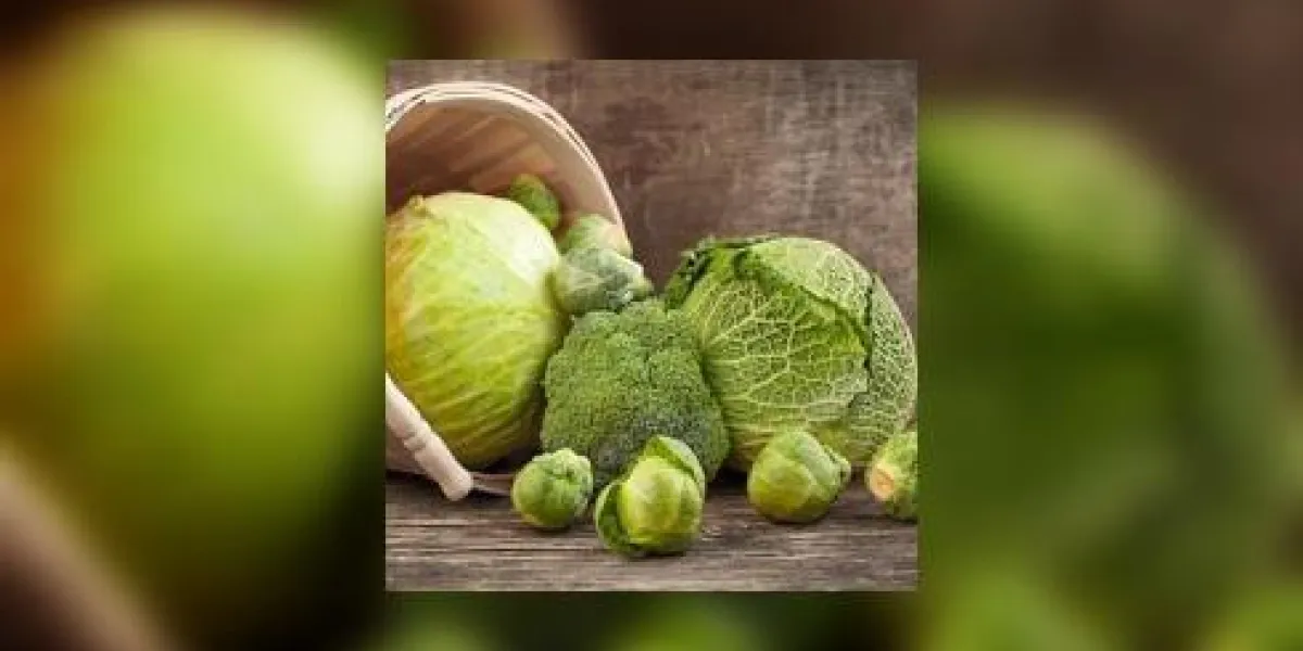 nature morte avec des choux assortiment sur fond en bois