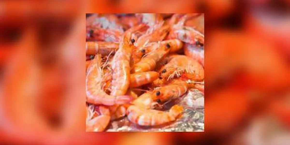 crevettes sur un marché aux poissons