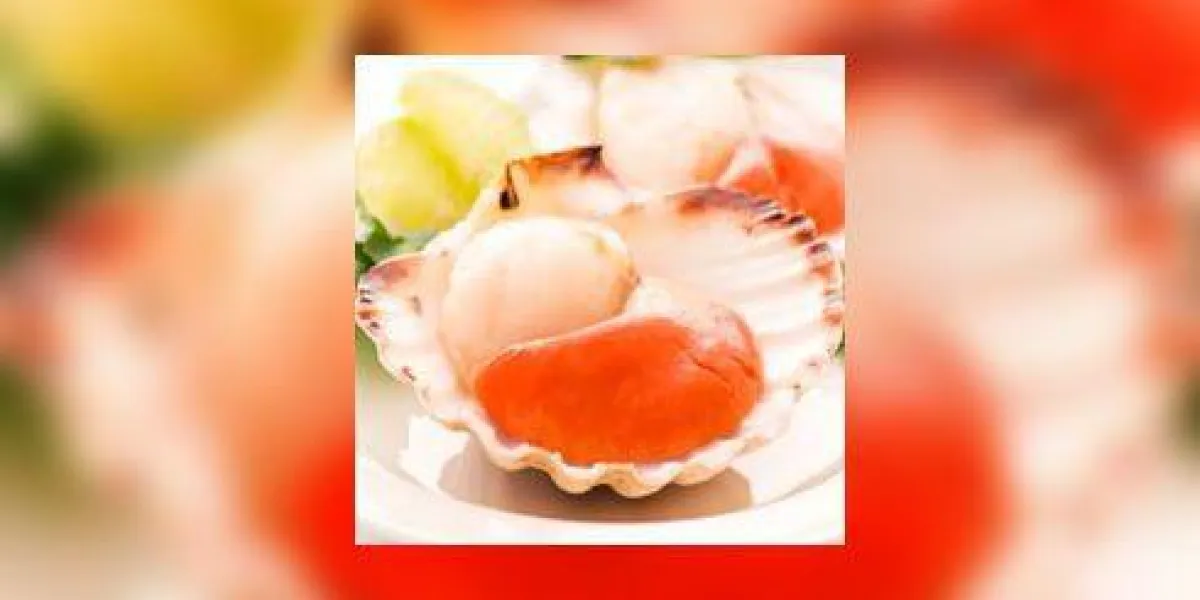 coquille