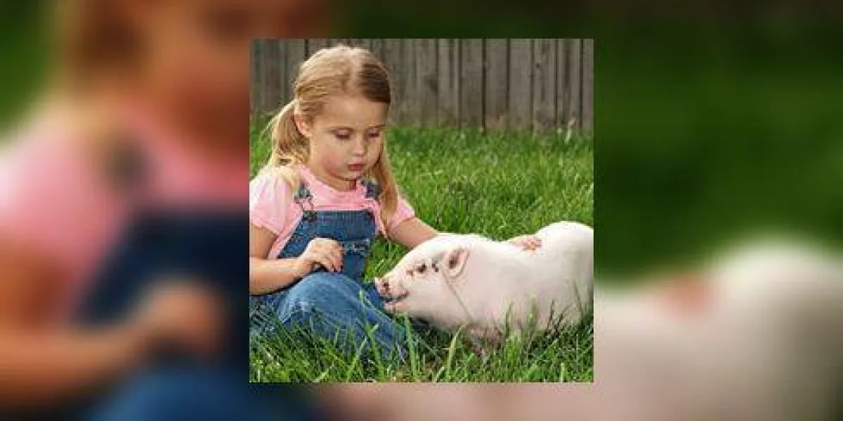 fille et son cochon fille et son cochon