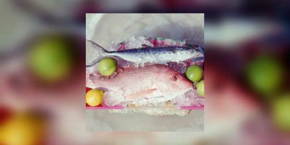 plateau de poisson congelé