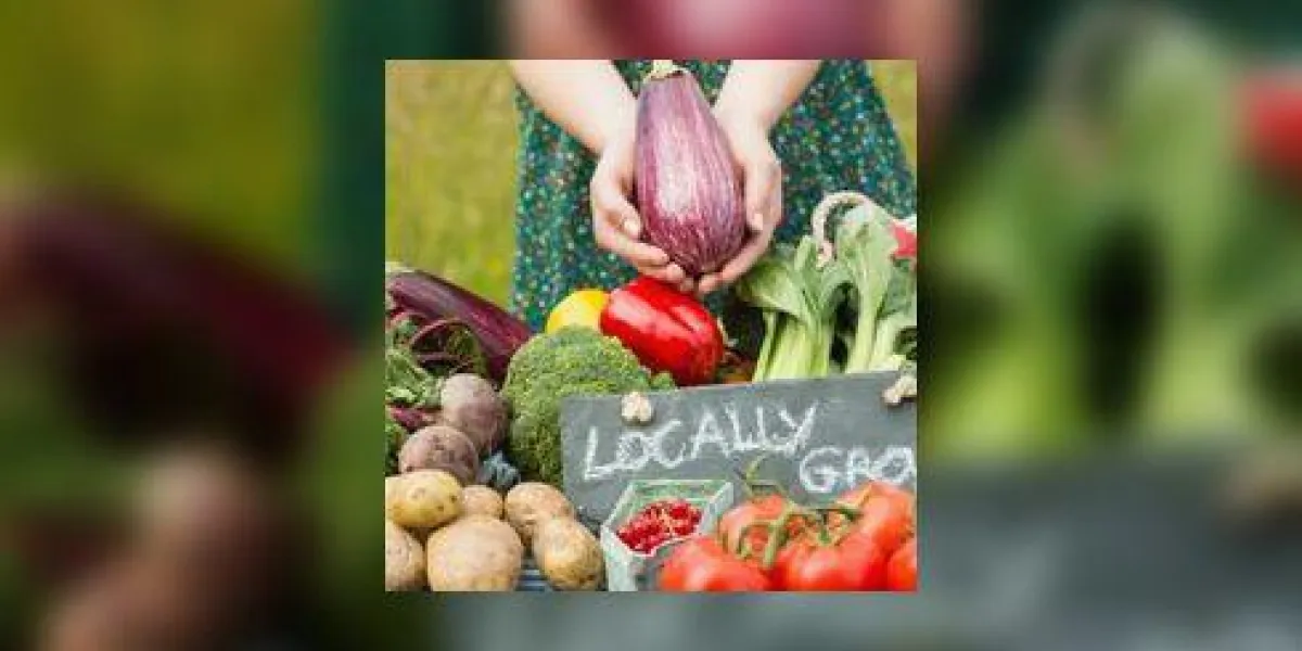 mains féminines tenant une aubergine