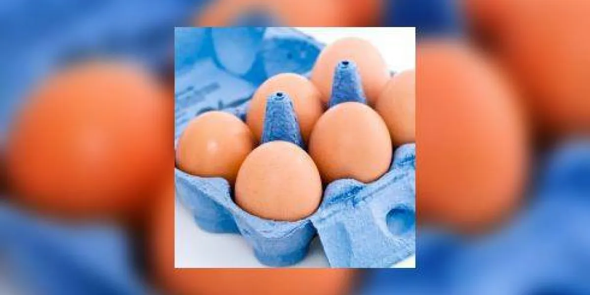 boite d'oeufs sur fond blanc