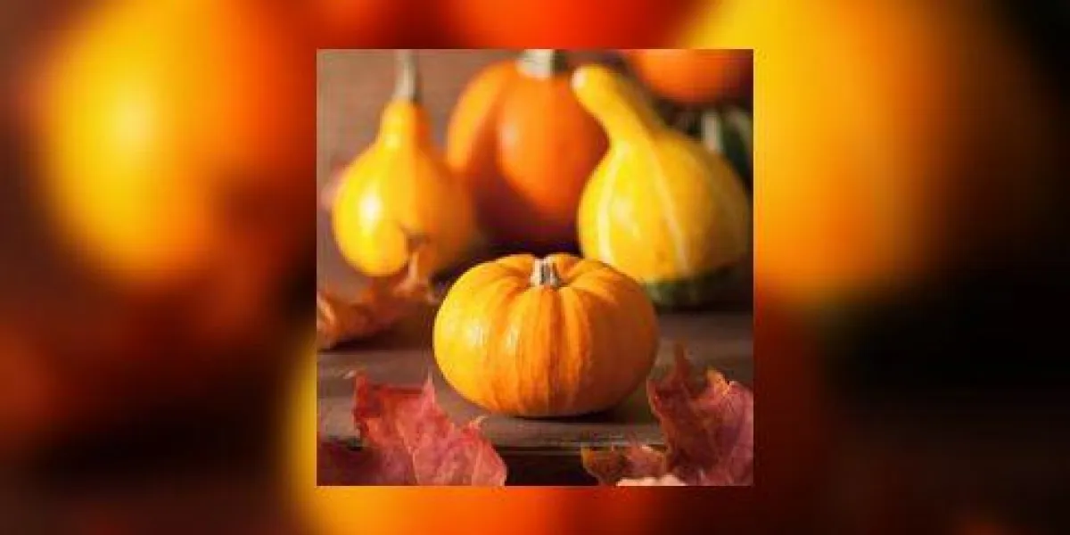 citrouilles décoratives et feuilles d'automne pour halloween