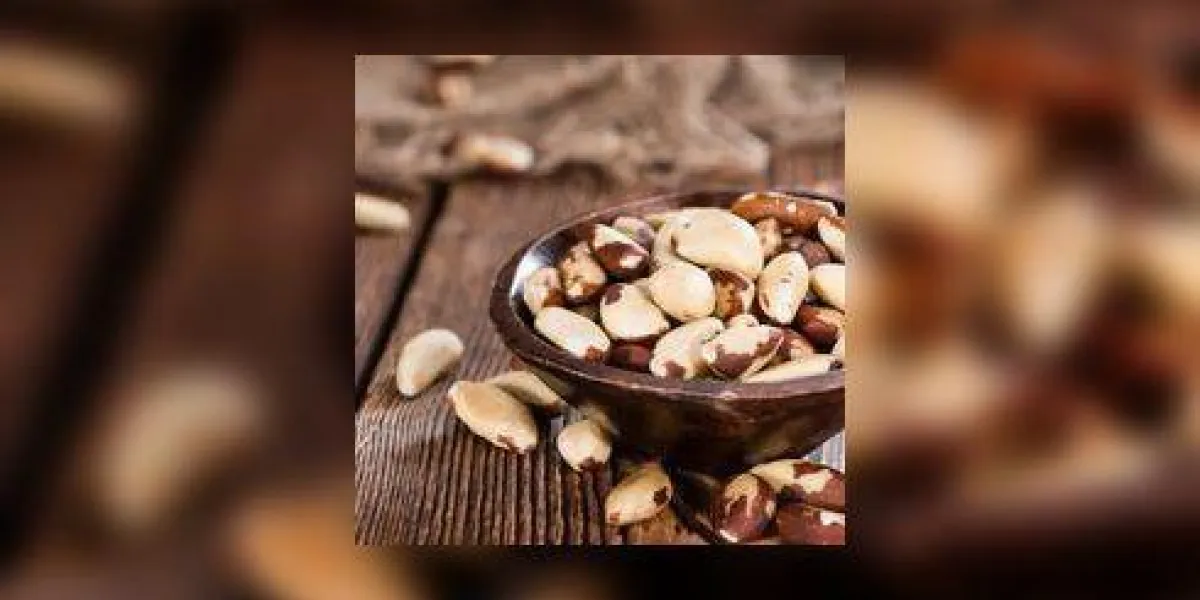 portion de noix du brésil en bonne santé comme tir en gros plan détaillé) portion de noix du brésil en bonne santé comme tir en gros plan détaillé)