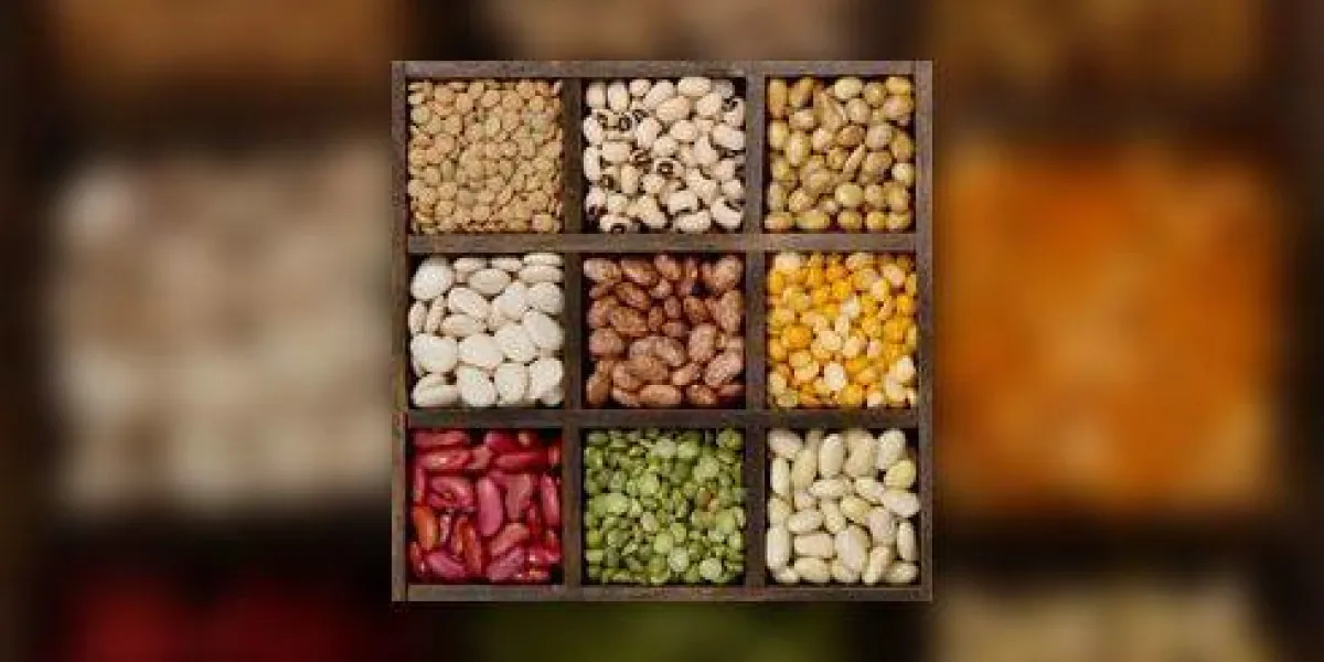 fond de haricots neuf variétés dans une boîte d'imprimantes