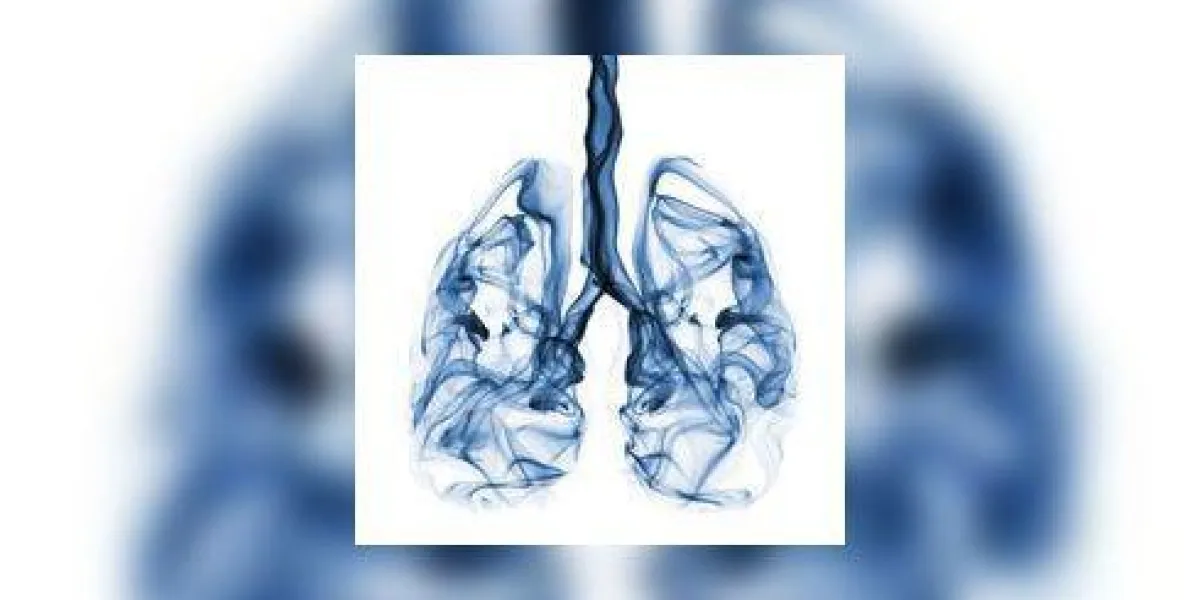 fumée en forme de concept de poumons pour la campagne de cancer du poumon fumée en forme de concept de poumons pour la campagne de cancer du poumon