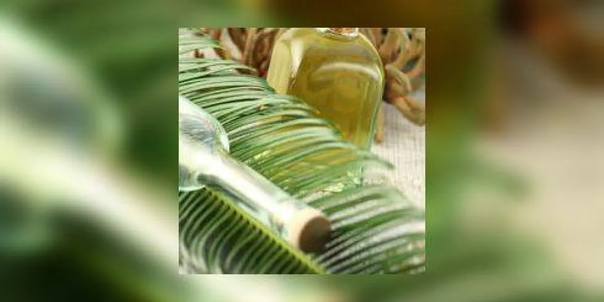 fournitures de spa