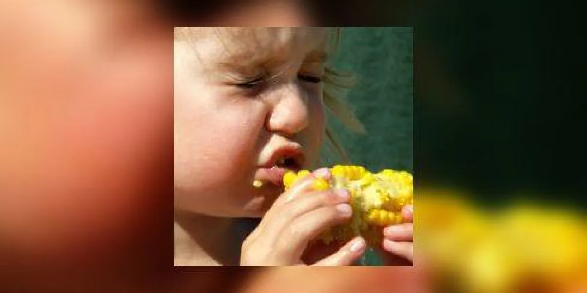 petite fille mangeant du maïs en épi petite fille mangeant du maïs en épi