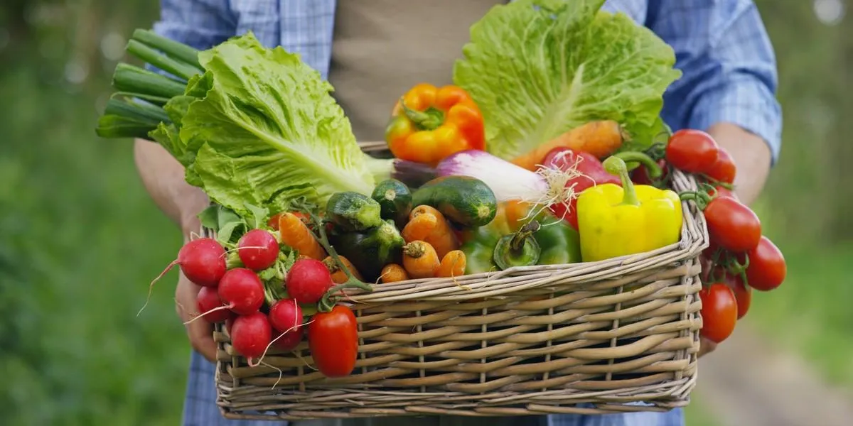 portrait of a happy young farmer holding fresh vegetables in a basket on a background of nature the concept of biological, bio products, bio ecology, grown by own hands, vegetarians, salads healthy