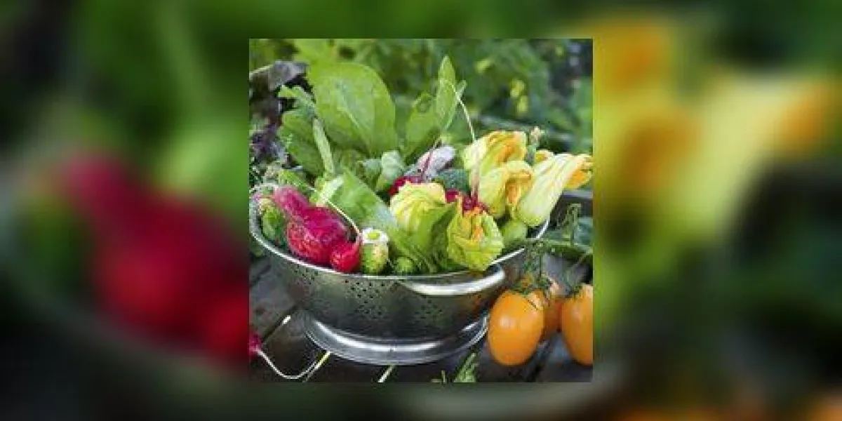 légumes frais différents dans un bol sur fond naturel, mise au point sélective