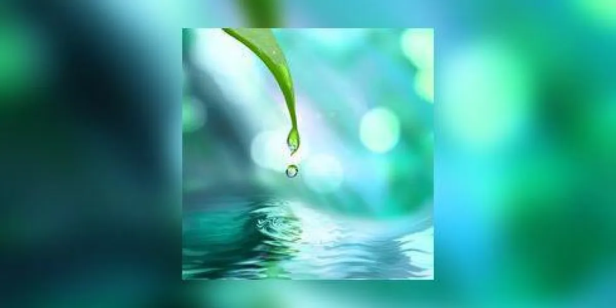feuille verte avec de l'eau goutte d'eau sur fond ensoleillé bleu