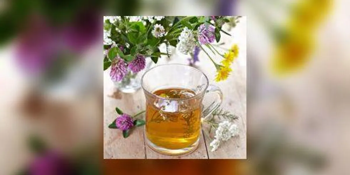 tisane fraîche tisane fraîche