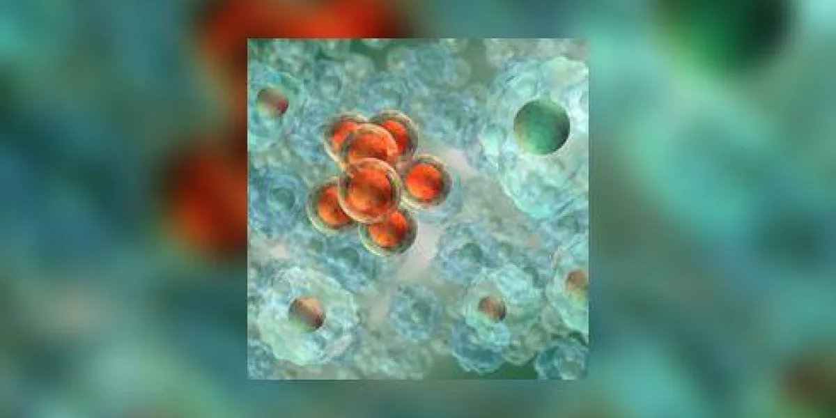 concept rendu 3d de la dédifférenciation (transformation du cancer) de la lignée cellulaire humaine