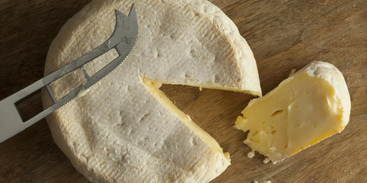 reblochon de savoie cheese from raw cows milk with a slice
