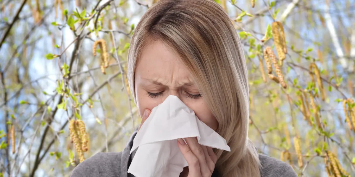 pollen allergy, springtime woman sneezing in a tissue