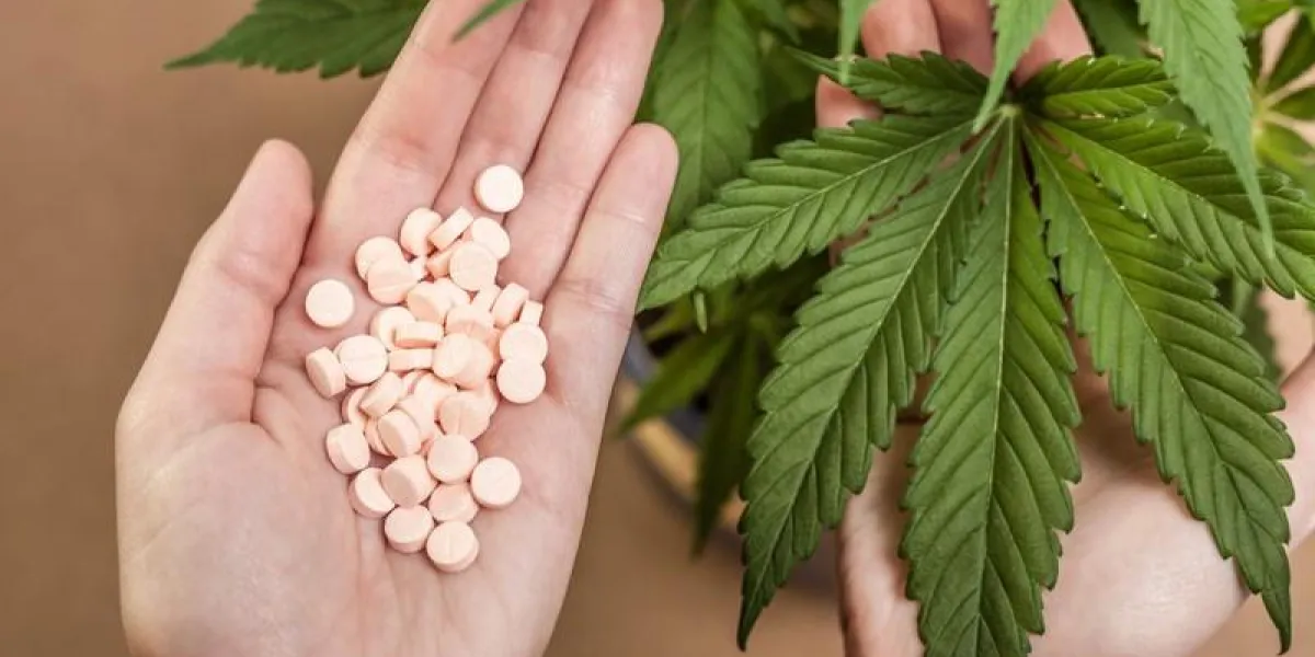 cannabis plant and hand with pharmaceuticals cannabis plant and hand with pharmaceuticals