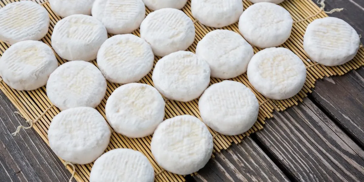 set of small heads of young goat cheese crottin lying on wooden boards set of small heads of young goat cheese crottin lying on wooden boards